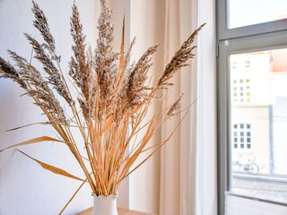 Appartement Wismar  38