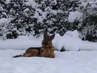 Chalet Nunspeet Ambiente 22