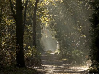 Chalet Nunspeet Ambiente 12