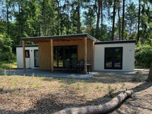 Chalet In vakantiepark De Witte Wieven - Nunspeet - image1