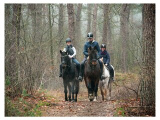 Chalet Nunspeet Ambiente 24