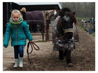 Chalet Nunspeet Registrazione all'aperto 1