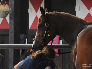 Chalet Nunspeet Ambiente 27