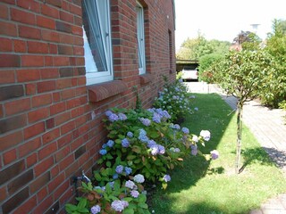 Ferienwohnung Wyk auf Föhr  11