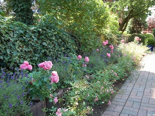 Ferienwohnung Wyk auf Föhr  12