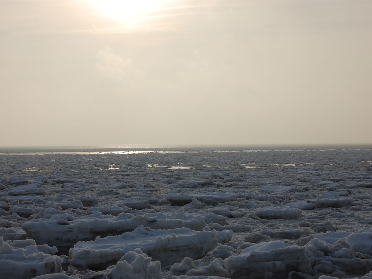 Lange Spaziergänge im Winter. Einfach traumhaft.