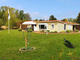 Gartenansicht mit Besuch aus dem nahen Vogelpark