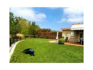 Casa de vacaciones Niendorf (Ostsee) Grabación al aire libre 14