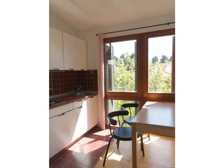 Appartamento per vacanze Privlaka Caratteristiche 7