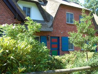 Wohnen am Dornenhaus 05