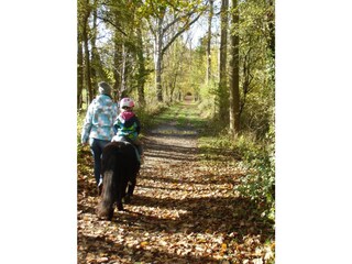 pony riding (Manege Duno) nearby