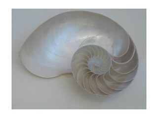 Ferienwohnung Greetsiel  20