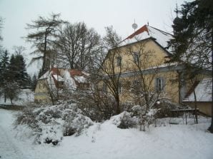 Holiday apartment in the 19th century mill - "Vodolenka" - Domazlice - image1