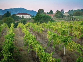 Holiday house Ponte da Barca Outdoor Recording 8