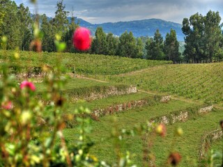 Vakantiehuis Ponte da Barca Buitenaudio-opname 2