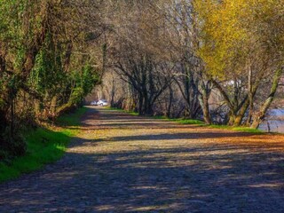 Vakantiehuis Ponte da Barca Omgeving 25