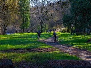 Casa per le vacanze Ponte da Barca Ambiente 31