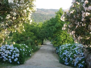 Maison de vacances Ponte da Barca Environnement 35