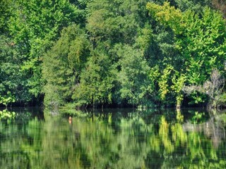 Vakantiehuis Ponte da Barca Omgeving 23