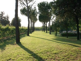 Holiday house Faenza Environment 37
