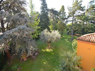 Ferienhaus Faenza Außenaufnahme 3