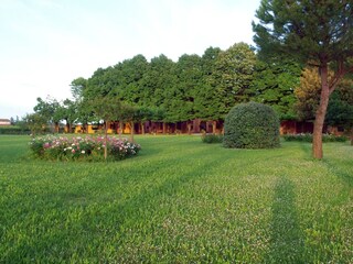 Vakantiehuis Faenza Buitenaudio-opname 5