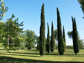 Casa de vacaciones Faenza Grabación al aire libre 10