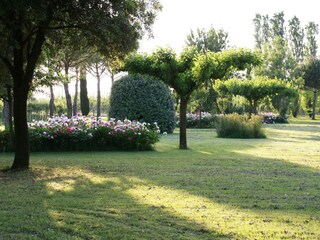 Ferienhaus Faenza Außenaufnahme 7