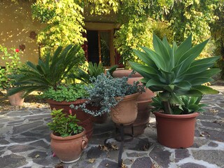 Terrasse mit Pergola