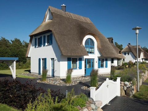 Ferienhaus Schilfrohrsänger 8