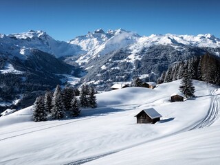 Appartamento per vacanze Gaschurn Ambiente 19