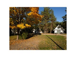 Ferienwohnung Nossentiner Hütte Außenaufnahme 5