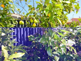 Appartamento Medulin Registrazione all'aperto 12