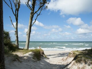 Ferienwohnung Zingst Außenaufnahme 11