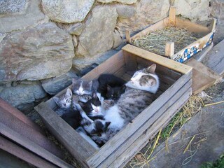 Appartamento per vacanze Brixen Ambiente 16