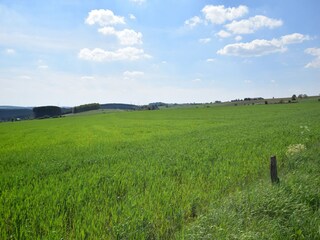 Chalet Gouvy Umgebung 27