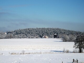 Vakantiehuis Michendorf Omgeving 9