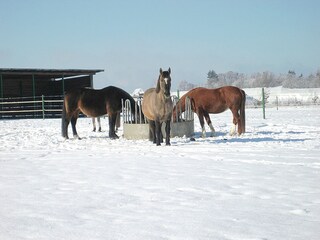 Casa per le vacanze Michendorf Ambiente 10