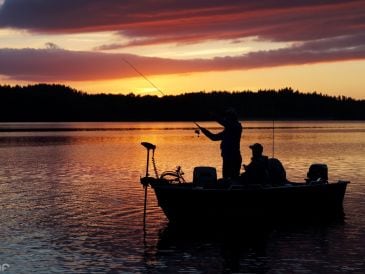 Ferienhaus Noen am See für Angler mit Boot und Sauna