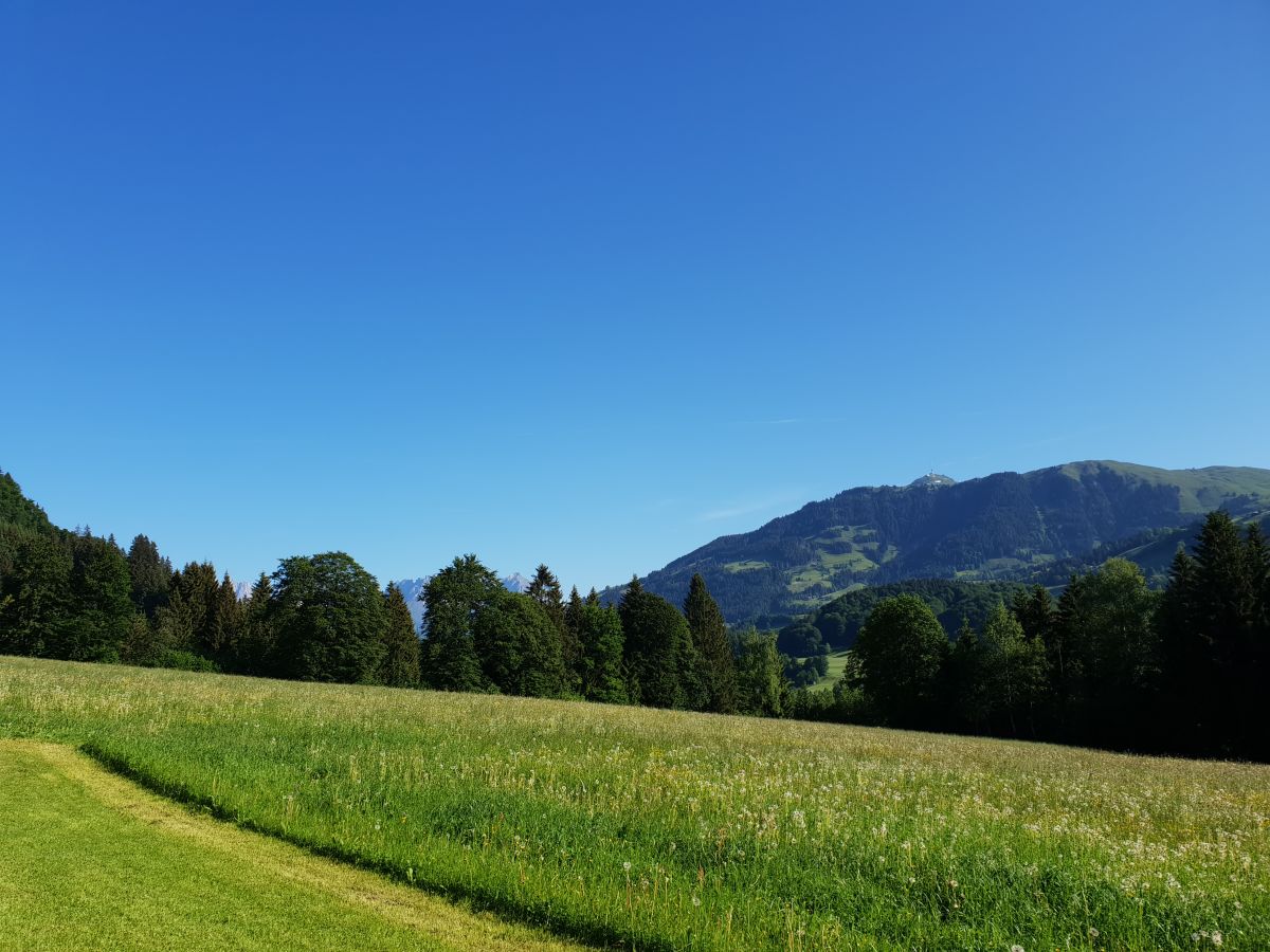 Blick Kitzbühler Horn