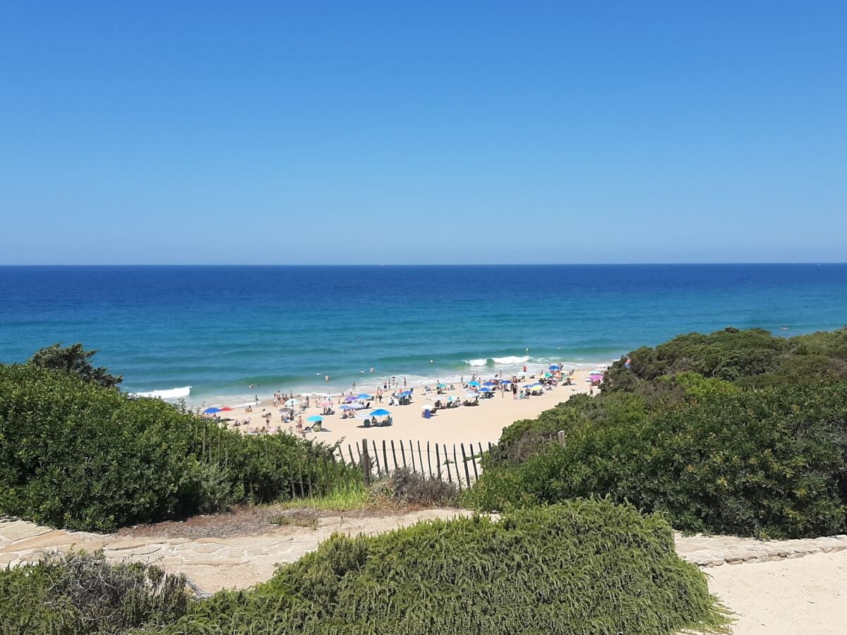 Direkter Blick auf das sommerliche Strandleben in Roche