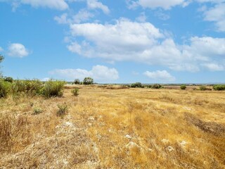 Holiday cottage Ses Covetes Environment 26