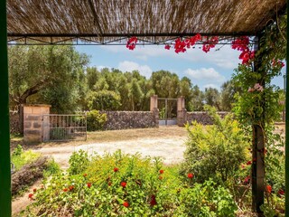 Casa de vacaciones Ses Covetes Entorno 26