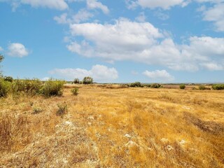 Casa de vacaciones Ses Covetes Entorno 28