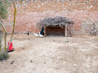 Maison de vacances Ses Covetes Environnement 33