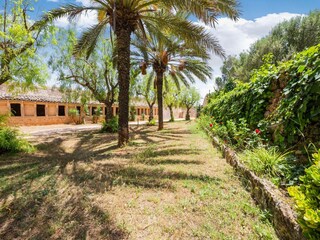 Casa de campo Ses Covetes Grabación al aire libre 8