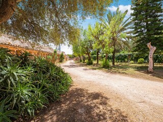 Vakantiehuisje Ses Covetes Omgeving 33