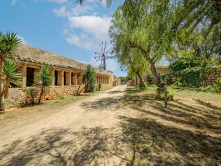 Holiday house Ses Covetes Environment 34