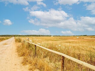 Maison de vacances Ses Covetes Environnement 33