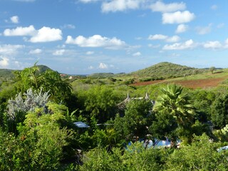 view over the garden